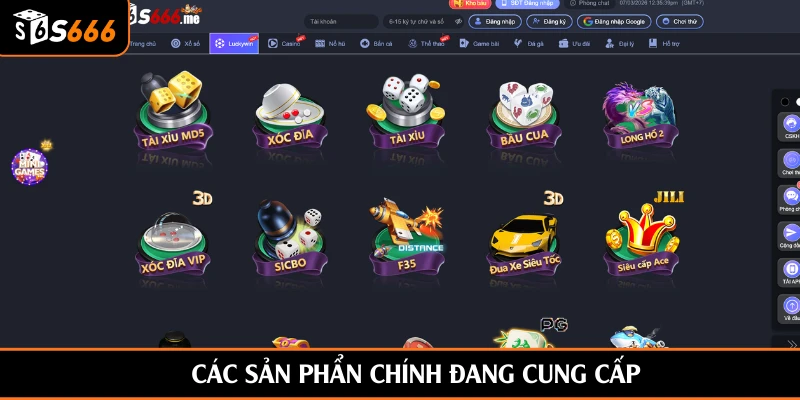 Các sản phẩn chính đang cung cấp